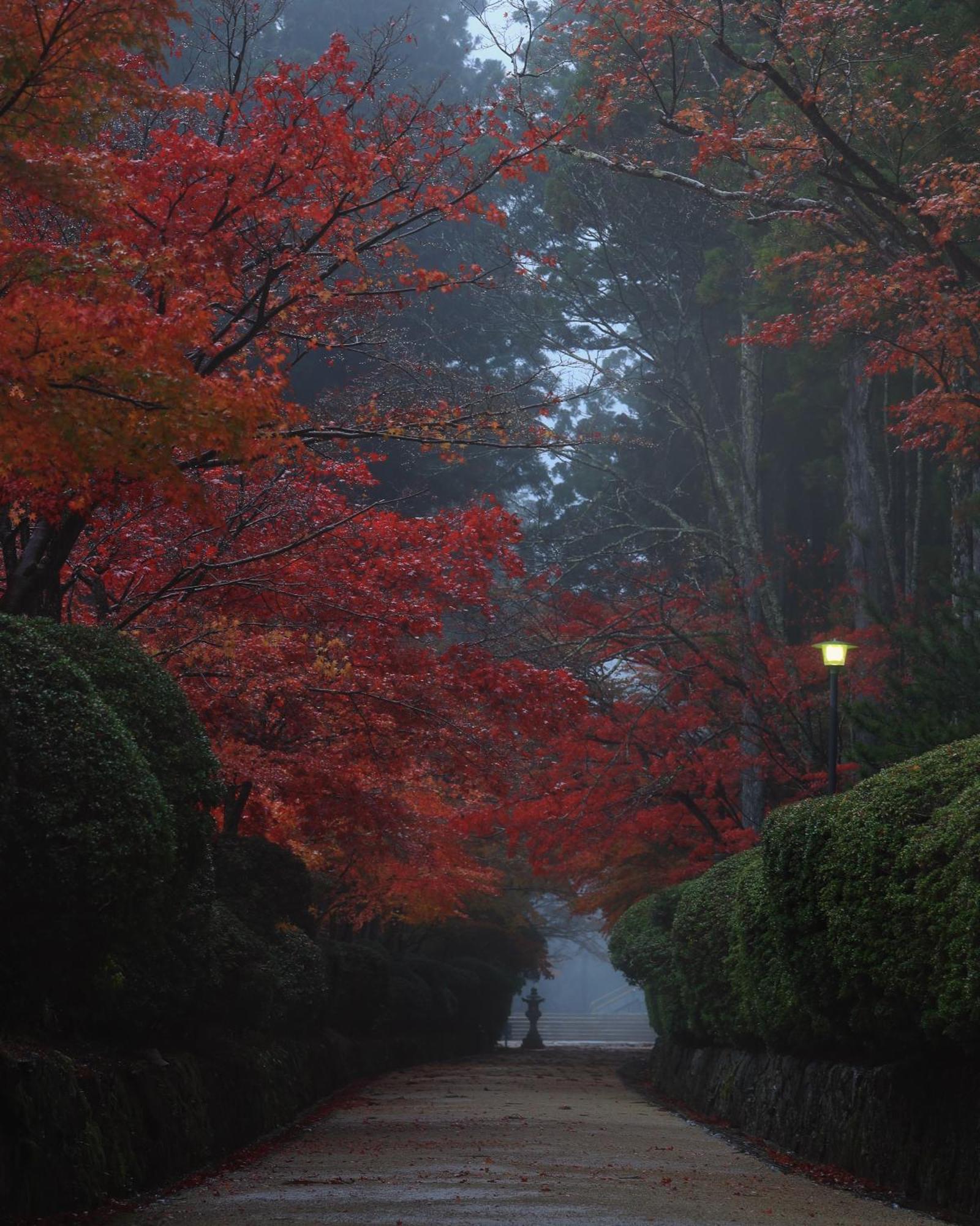 Koyasan Guesthouse Kokuu Dış mekan fotoğraf